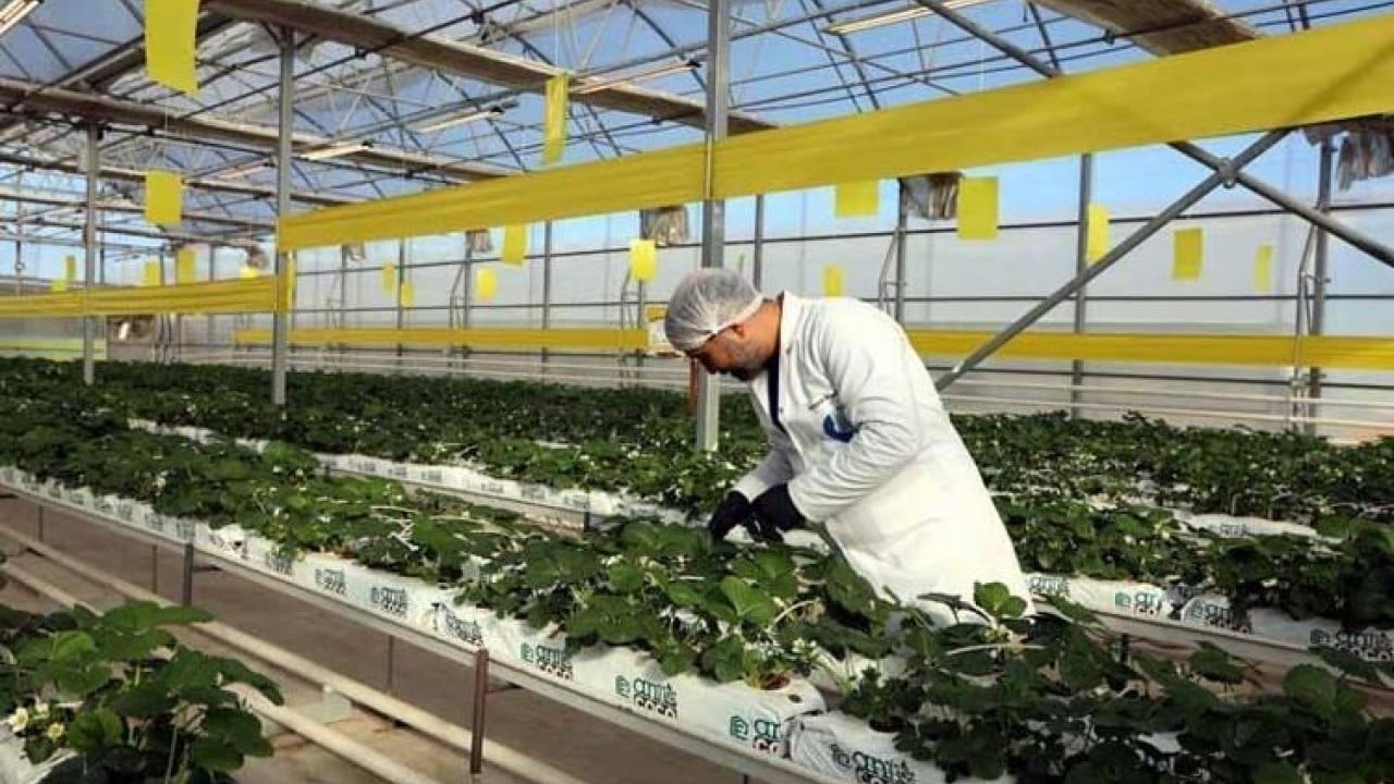 Foto - Bakın nelere yarıyor! Çöp deyip geçmeyin