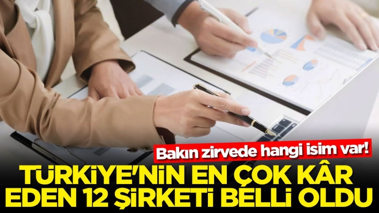 Bakın zirvede hangi isim var! Türkiye'nin en çok kâr eden 12 şirketi belli oldu