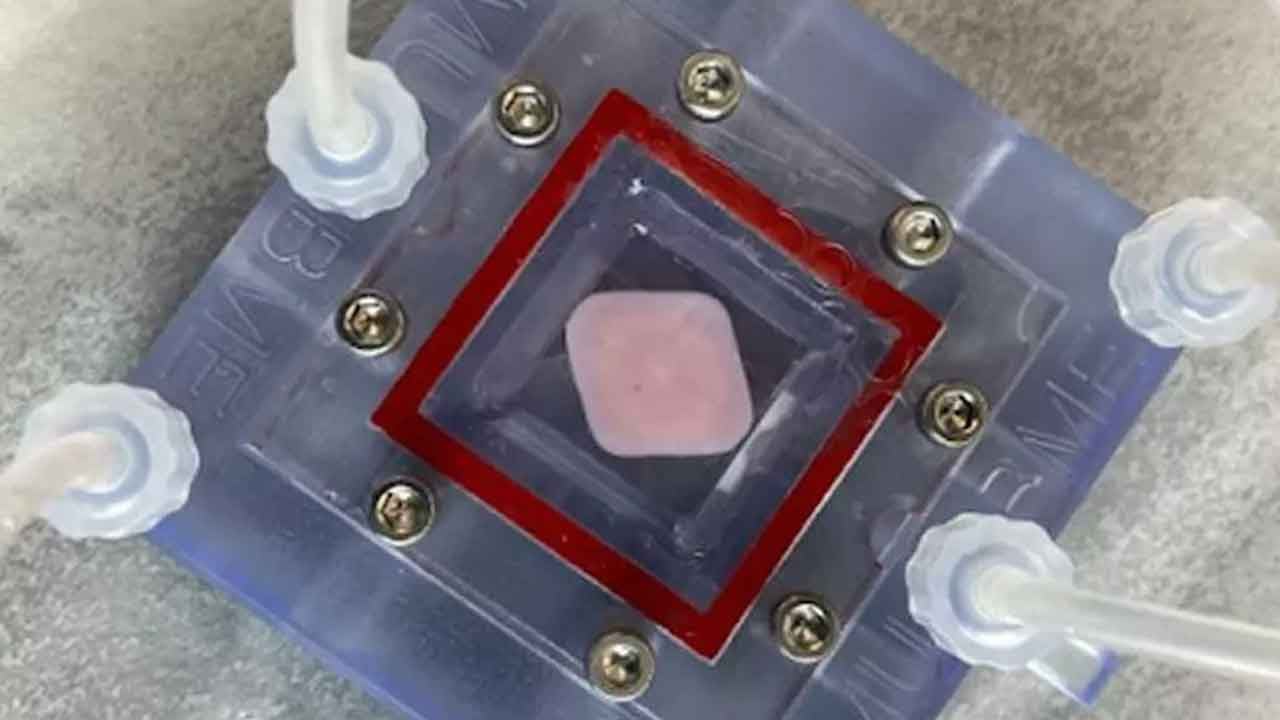 Foto - Bakırı tarihten silecek keşif! Yeni metal bulundu, tüm dünya şaşkın