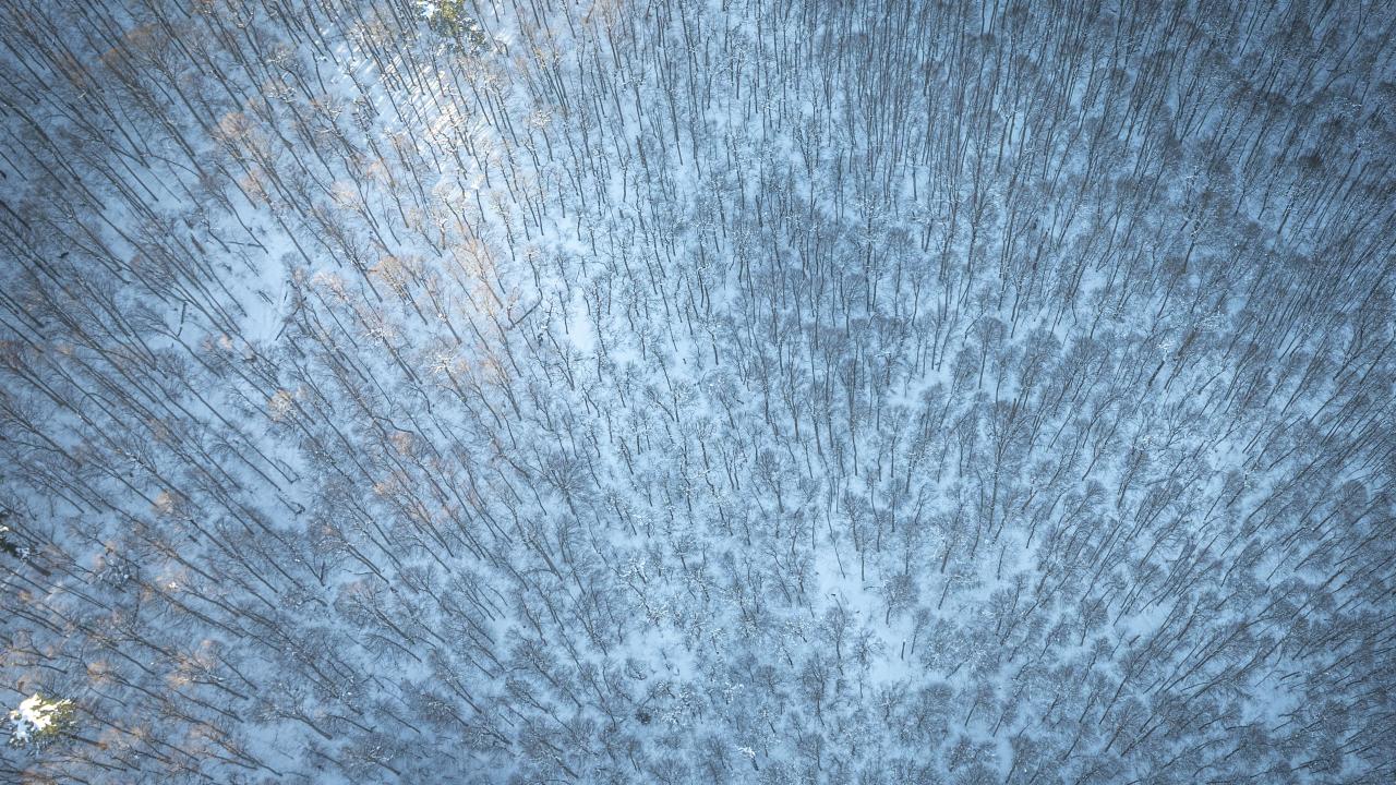 Foto - Bakmaya doyamazsın! Yedigöller Milli Parkı beyaza büründü