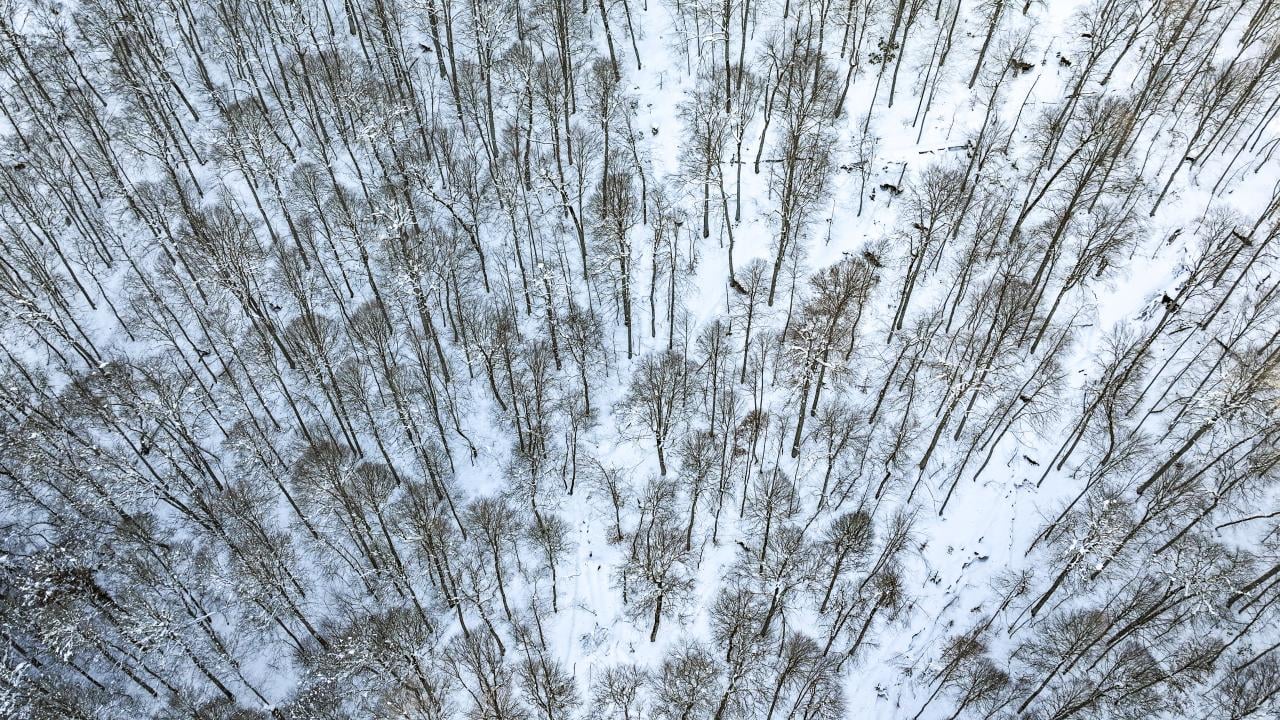Foto - Bakmaya doyamazsın! Yedigöller Milli Parkı beyaza büründü