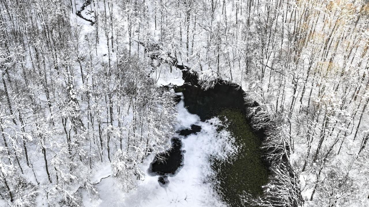 Bakmaya doyamazsın! Yedigöller Milli Parkı beyaza büründü