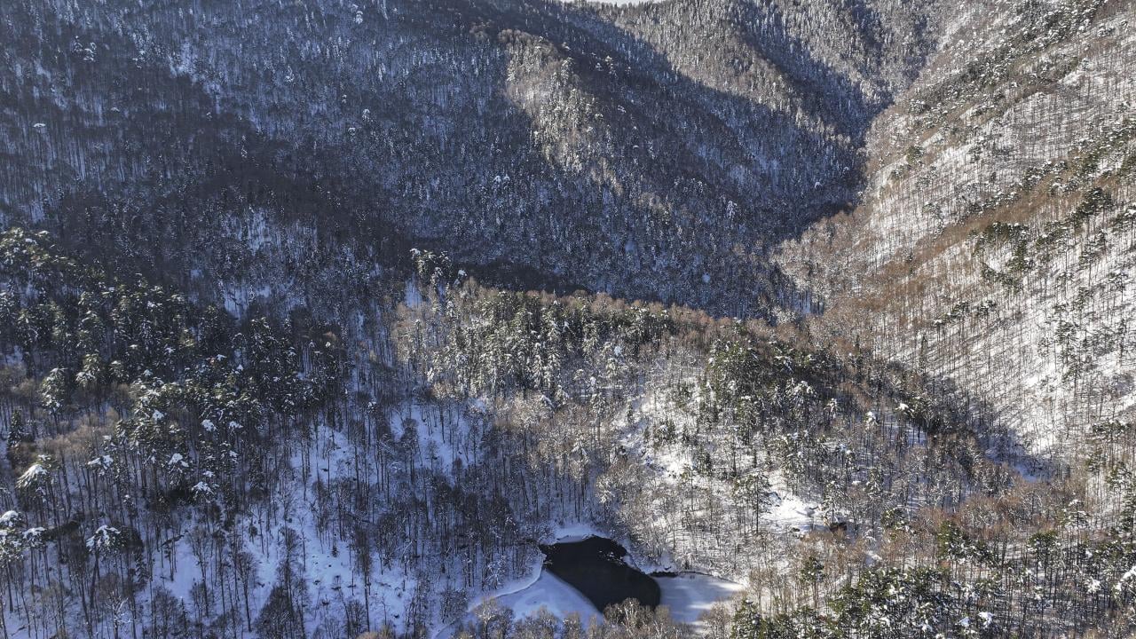 Foto - Bakmaya doyamazsın! Yedigöller Milli Parkı beyaza büründü