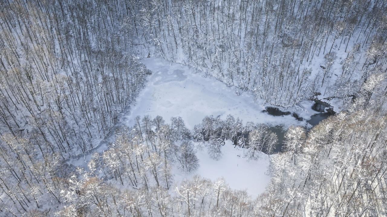 Foto - Bakmaya doyamazsın! Yedigöller Milli Parkı beyaza büründü
