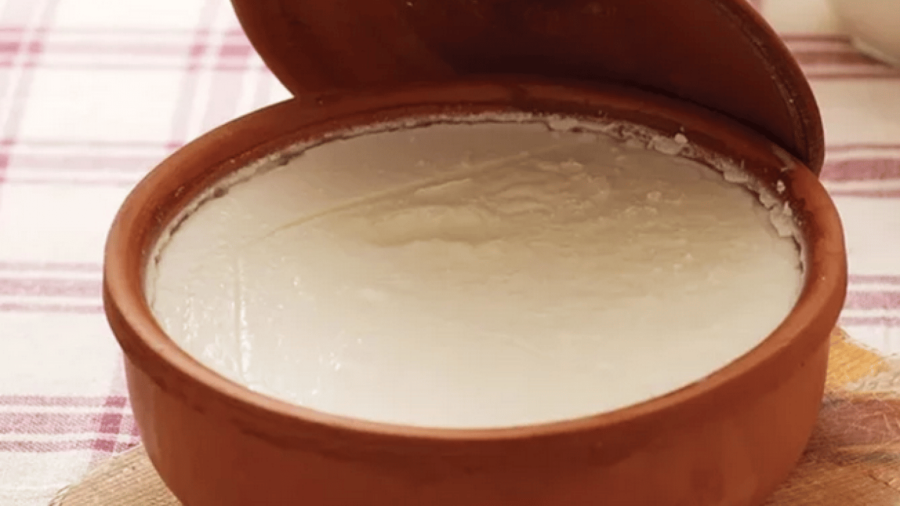 Bakteri ya olursa? Ev yapımı yoğurtta kap seçimi: Hangi materyal daha sağlıklı ve lezzetli?