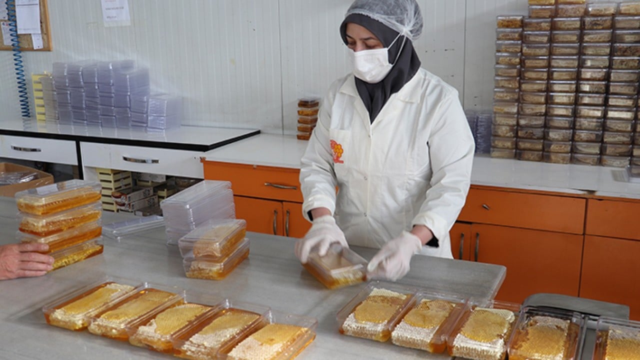 Foto - 'Bal' gibi ihracat