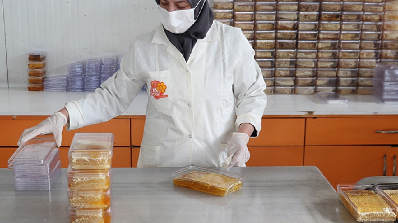 Foto - 'Bal' gibi ihracat