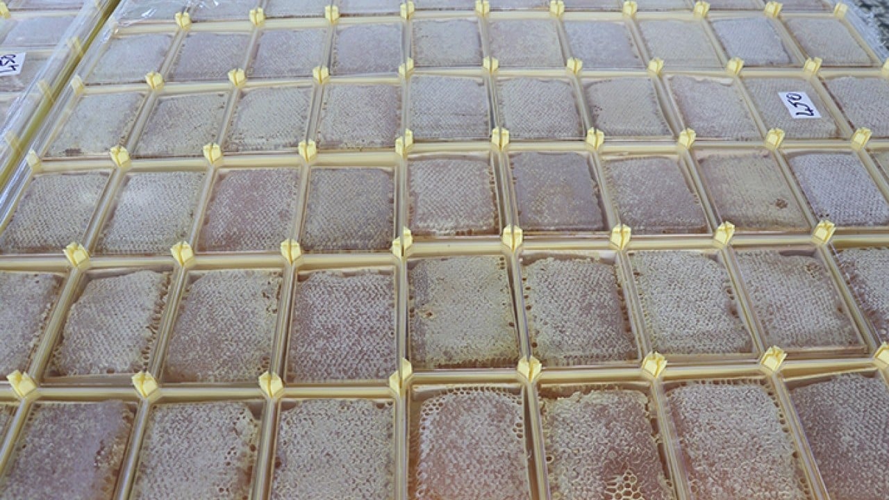 Foto - 'Bal' gibi ihracat