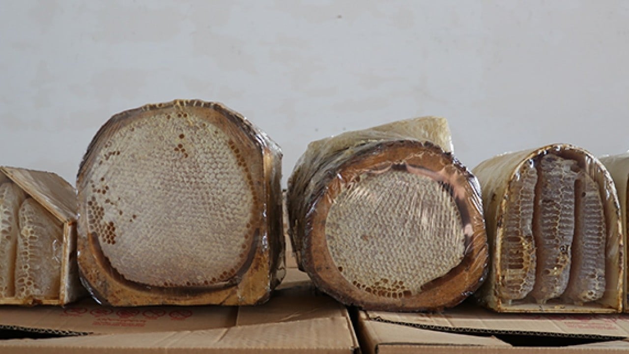 Foto - 'Bal' gibi ihracat