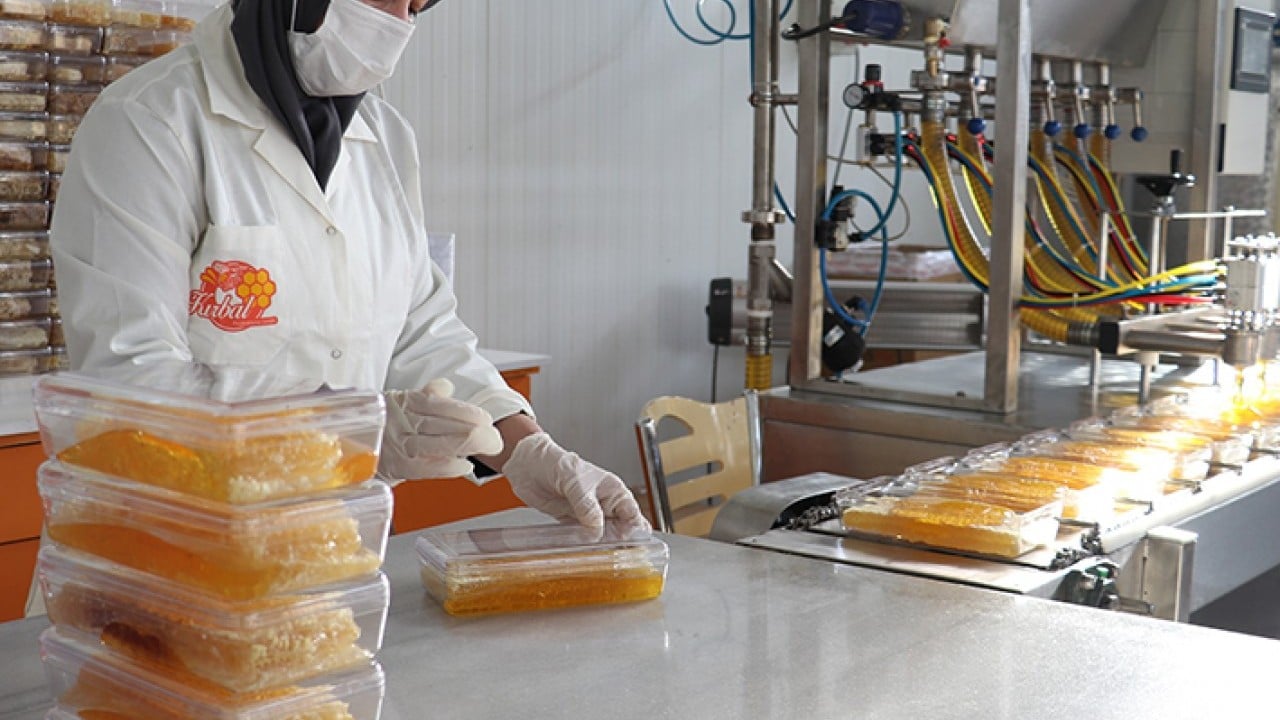 Foto - 'Bal' gibi ihracat