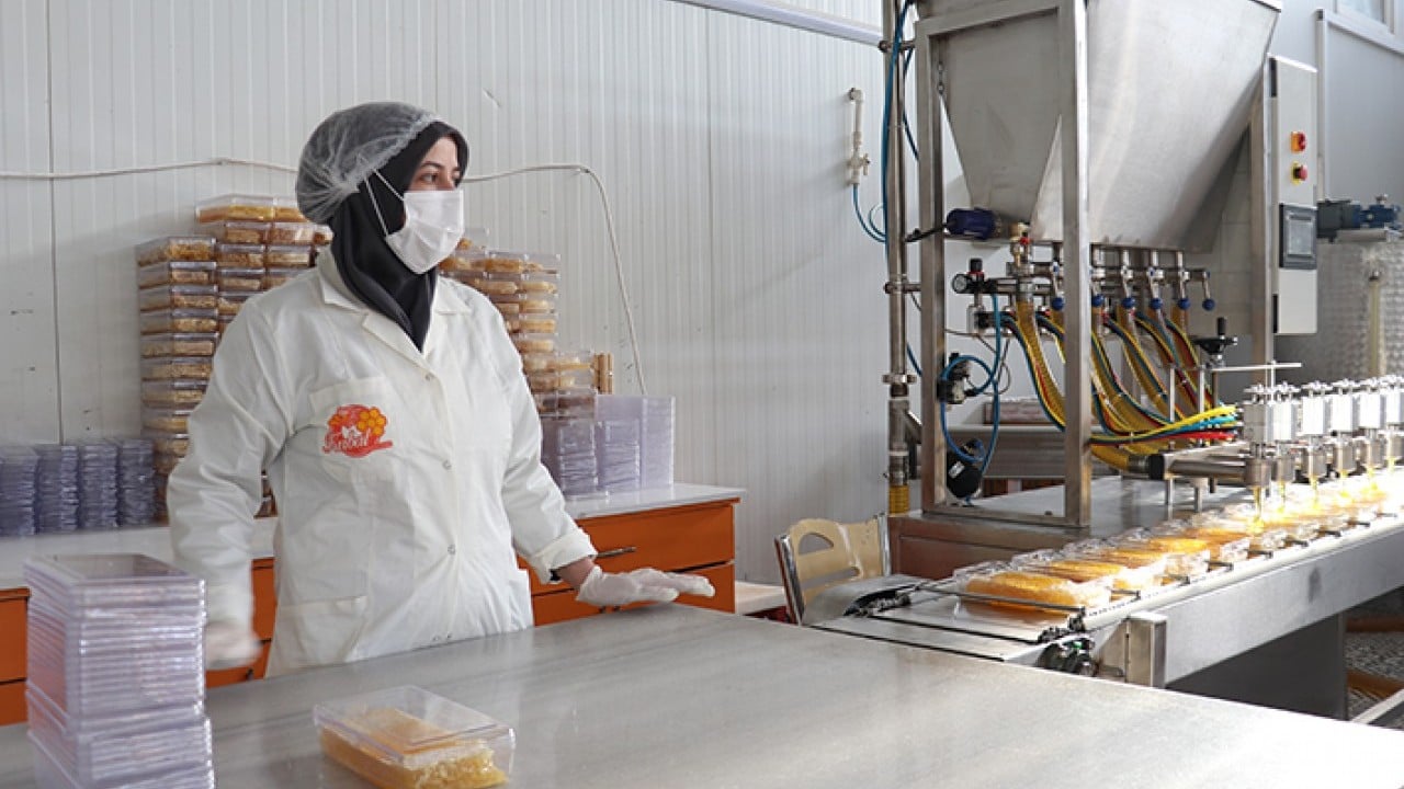 Foto - 'Bal' gibi ihracat