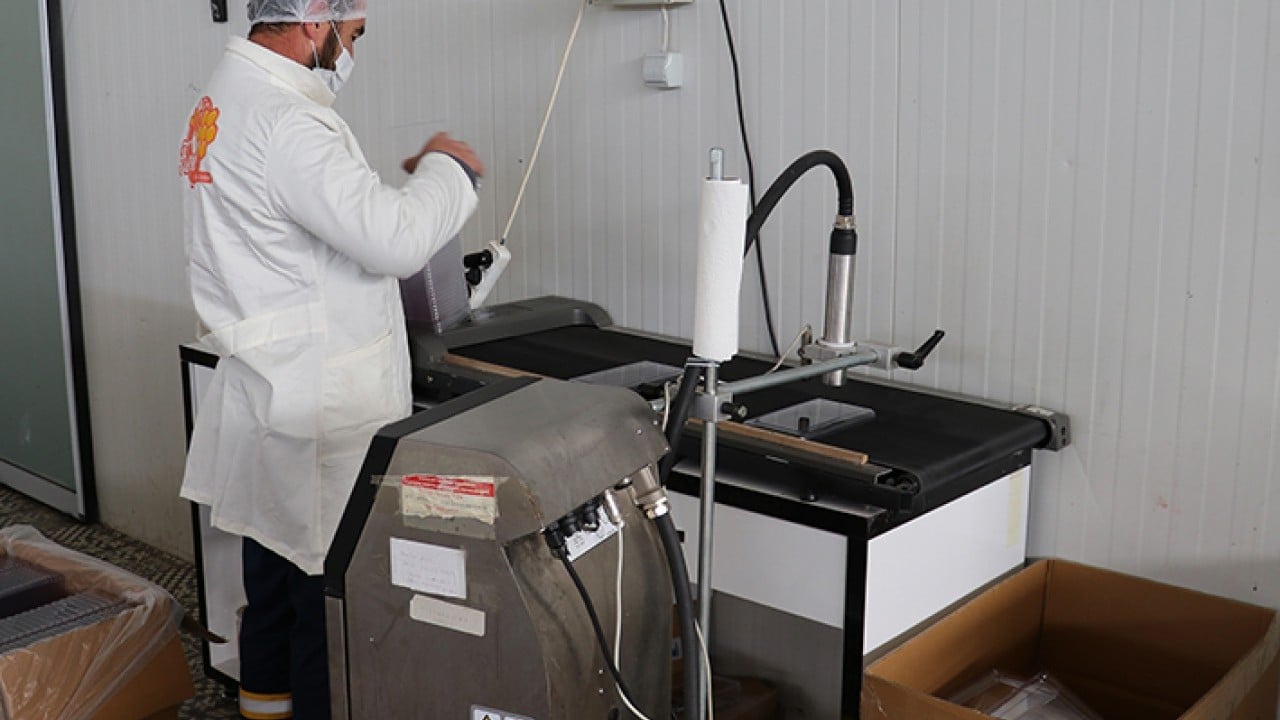 Foto - 'Bal' gibi ihracat