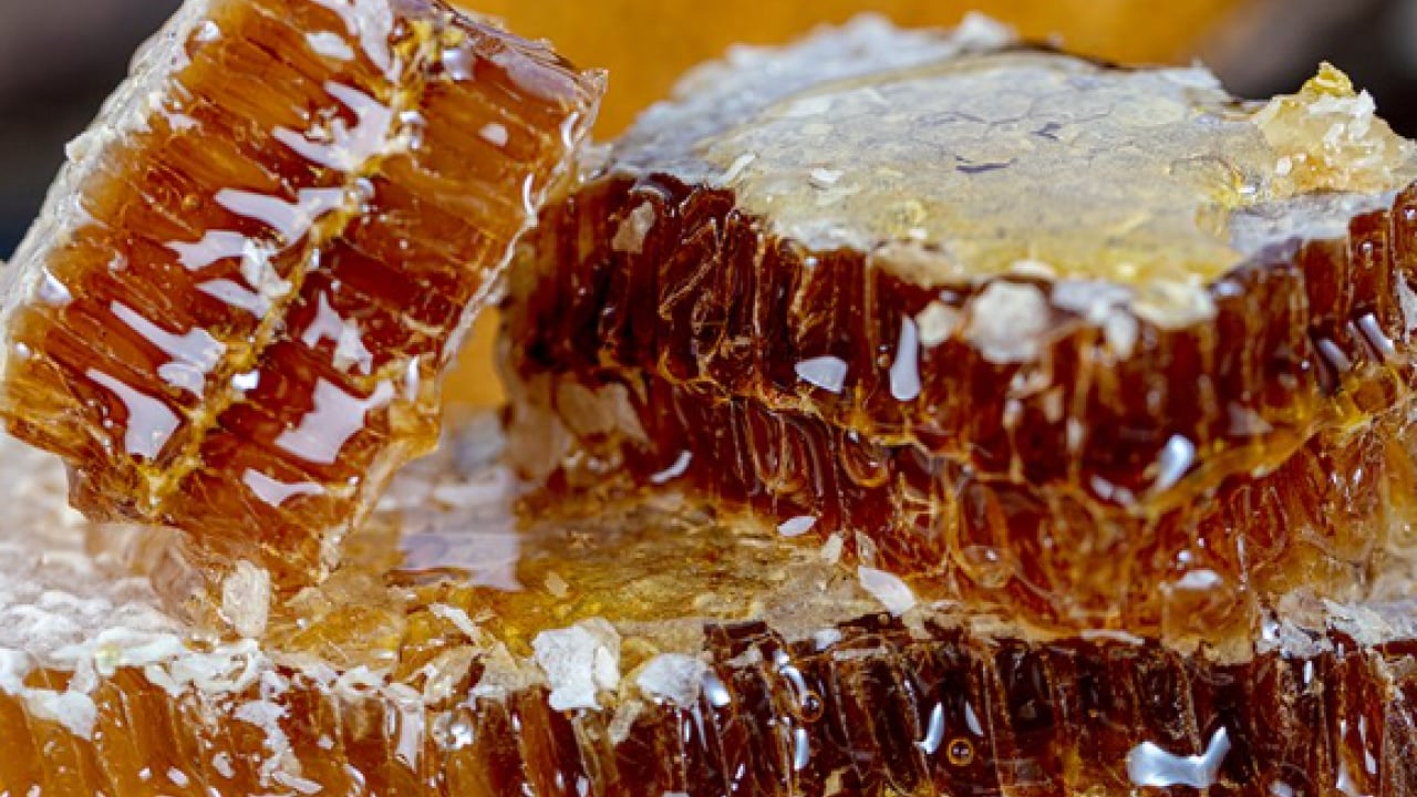 Foto - Bal mı pekmez mi daha faydalı? Sorunun cevabı belli oldu!