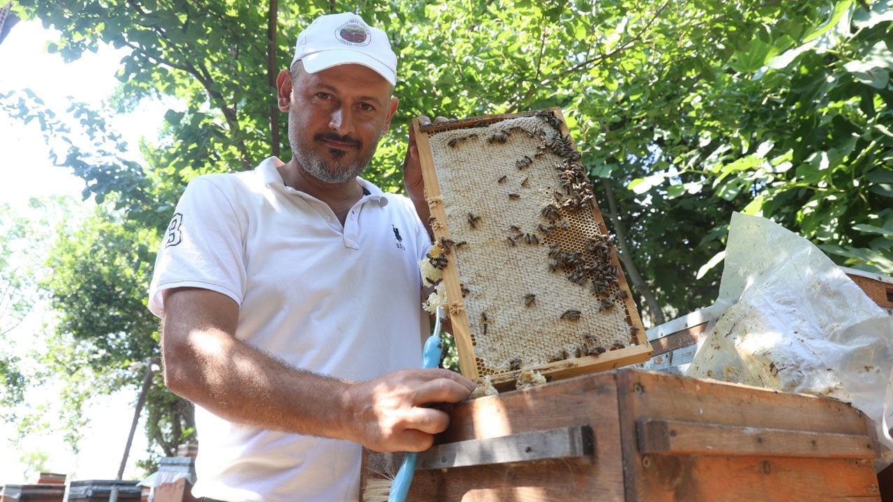 Foto - Bal sezonu bereketli başladı! Kuraklık bitti, petekler doldu 