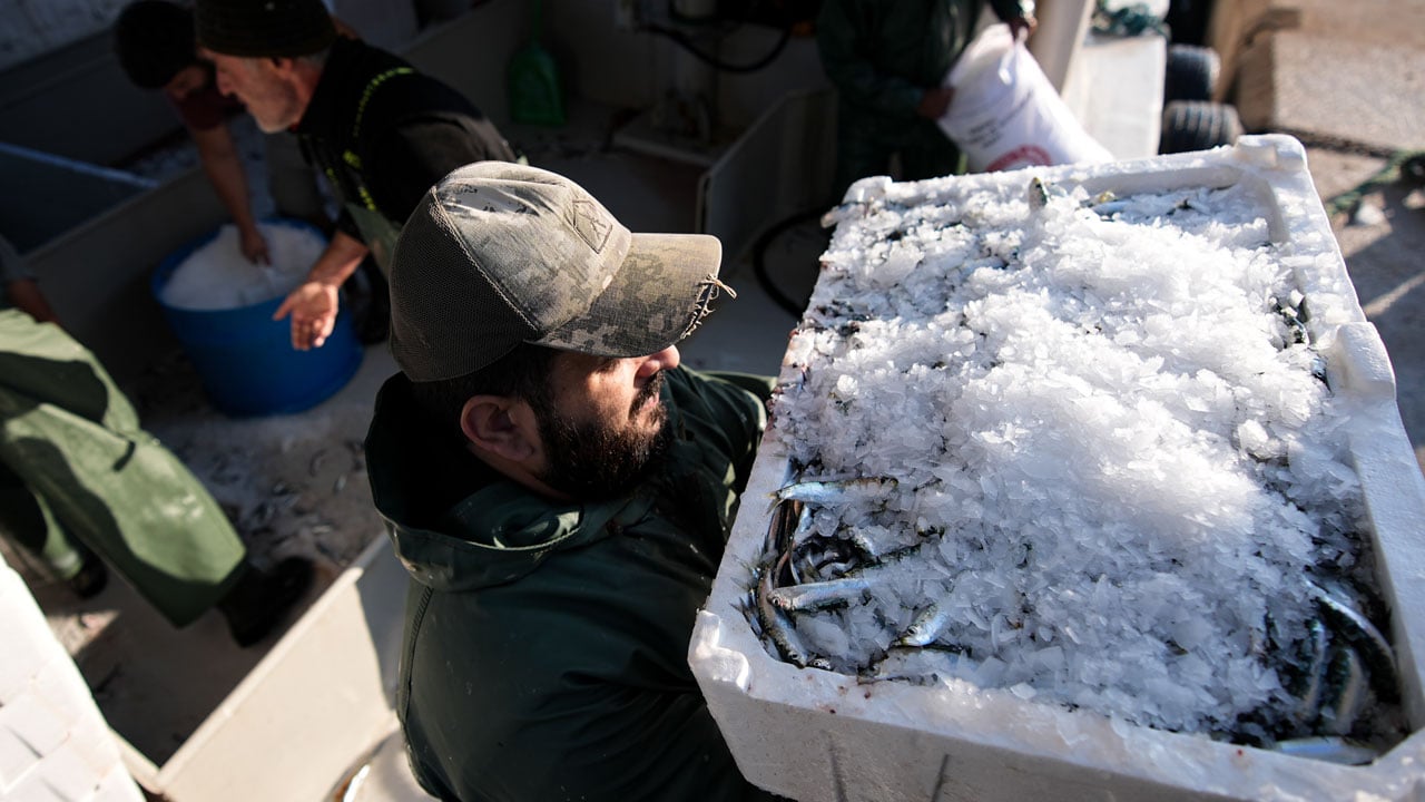 Foto - Balık var tayfa yok! 80 bin lira maaşla işçi bulunamıyor