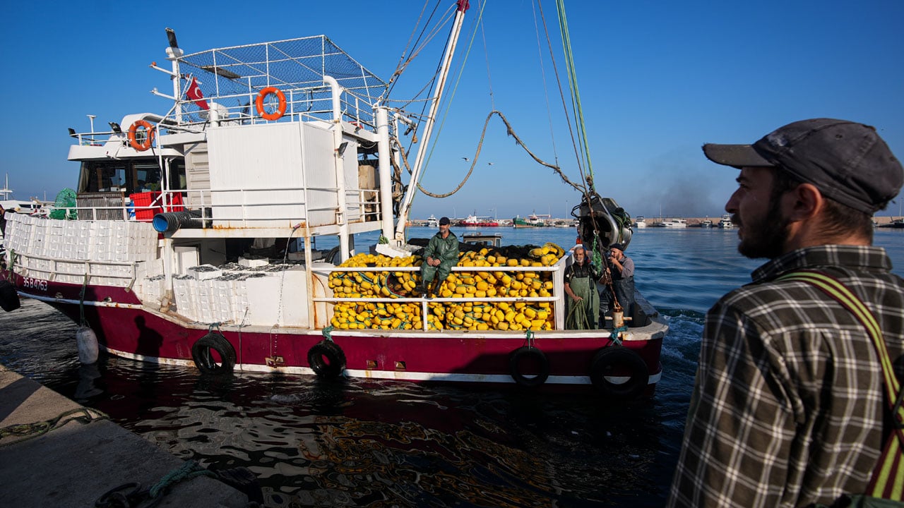 Foto - Balık var tayfa yok! 80 bin lira maaşla işçi bulunamıyor