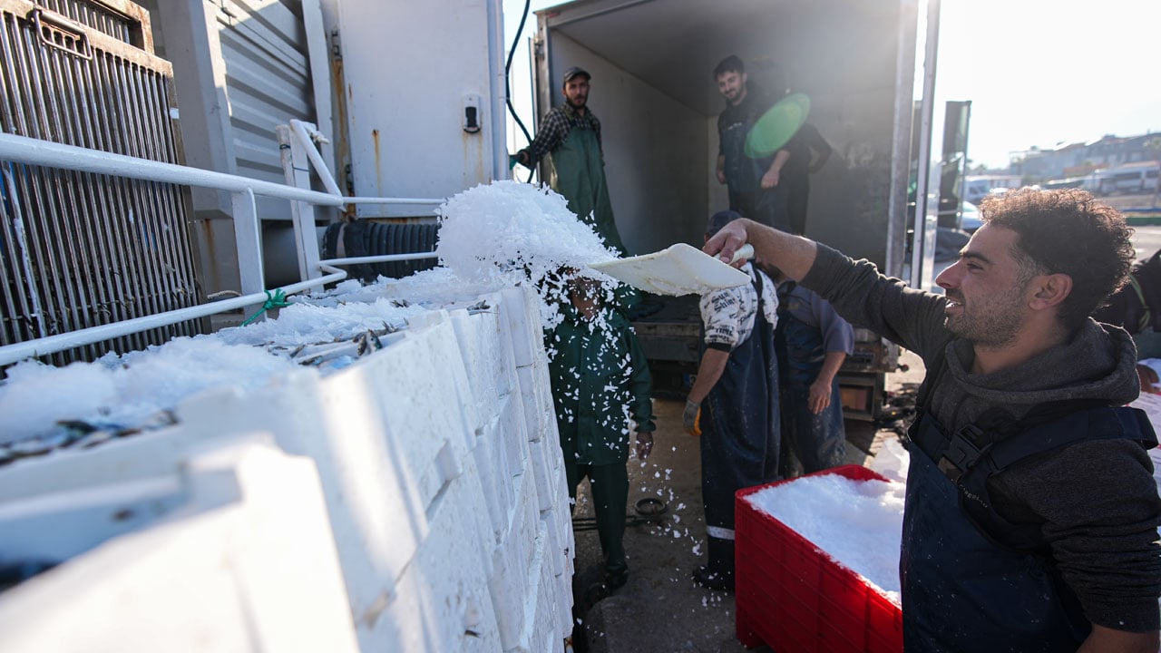 Foto - Balık var tayfa yok! 80 bin lira maaşla işçi bulunamıyor