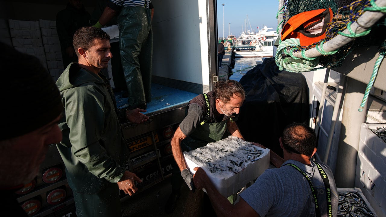 Foto - Balık var tayfa yok! 80 bin lira maaşla işçi bulunamıyor