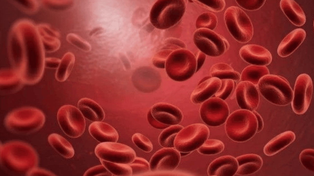 Balık, yumurta, baklagiller ve.. Kanınızı güçlendirin: En etkili yiyecekler hangileri?