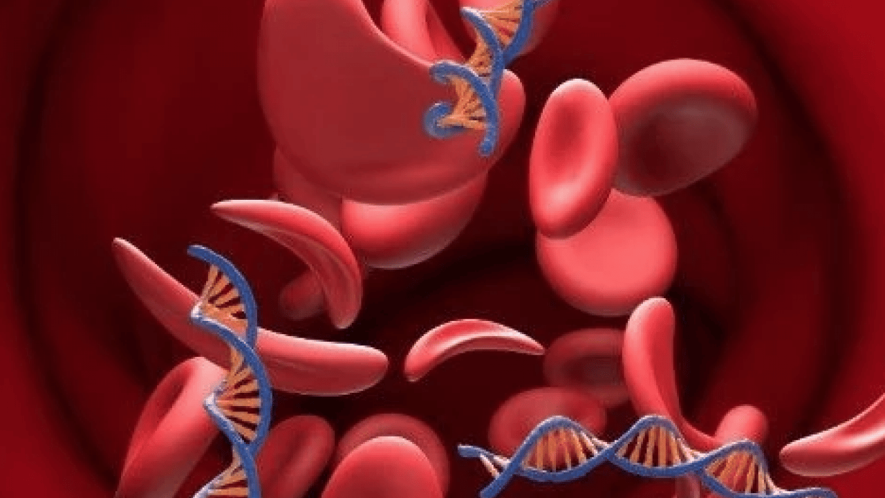 Foto - Balık, yumurta, baklagiller ve.. Kanınızı güçlendirin: En etkili yiyecekler hangileri?