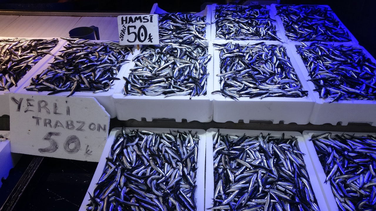 Balıkçılar 3 aydır uyku yüzü görmüyor! Deniz adeta kaynıyor