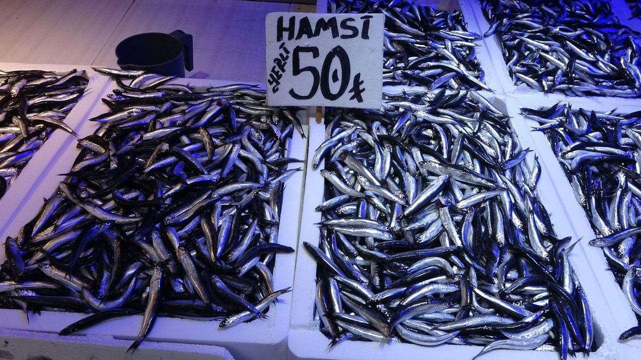 Foto - Balıkçılar 3 aydır uyku yüzü görmüyor! Deniz adeta kaynıyor