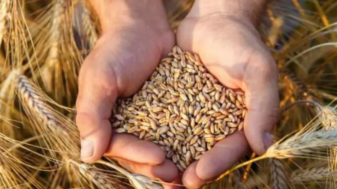 Foto - Balkonda kendi üretti! 150 bin kişiye ücretsiz gönderdi!