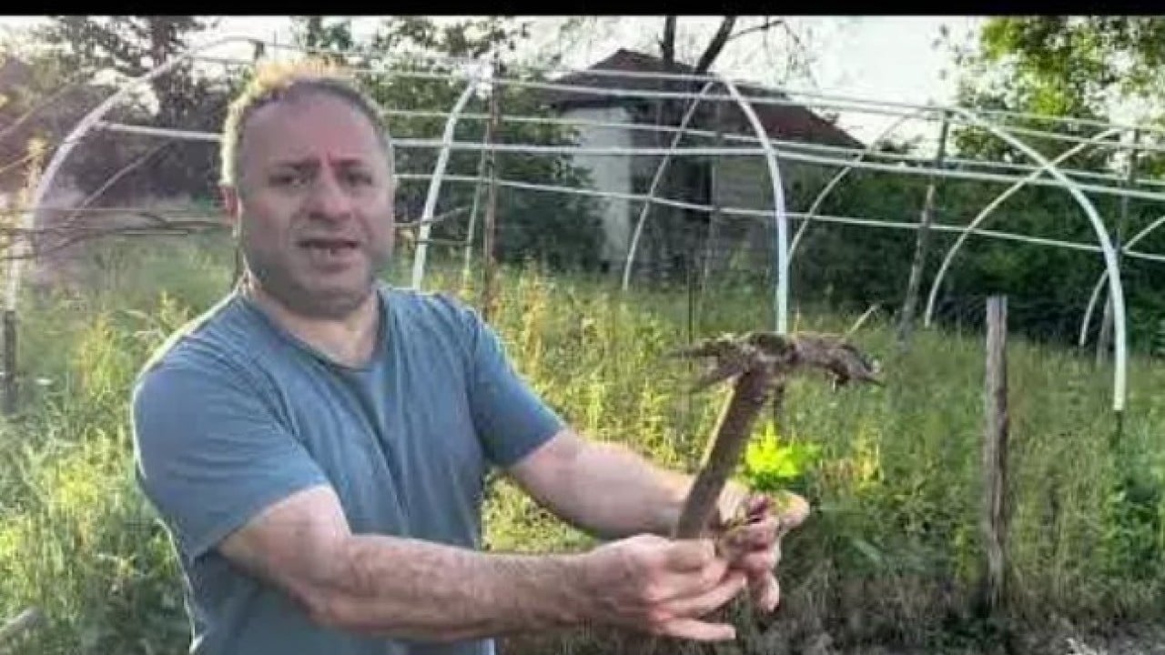 Foto - Balkonda kendi üretti! 150 bin kişiye ücretsiz gönderdi!