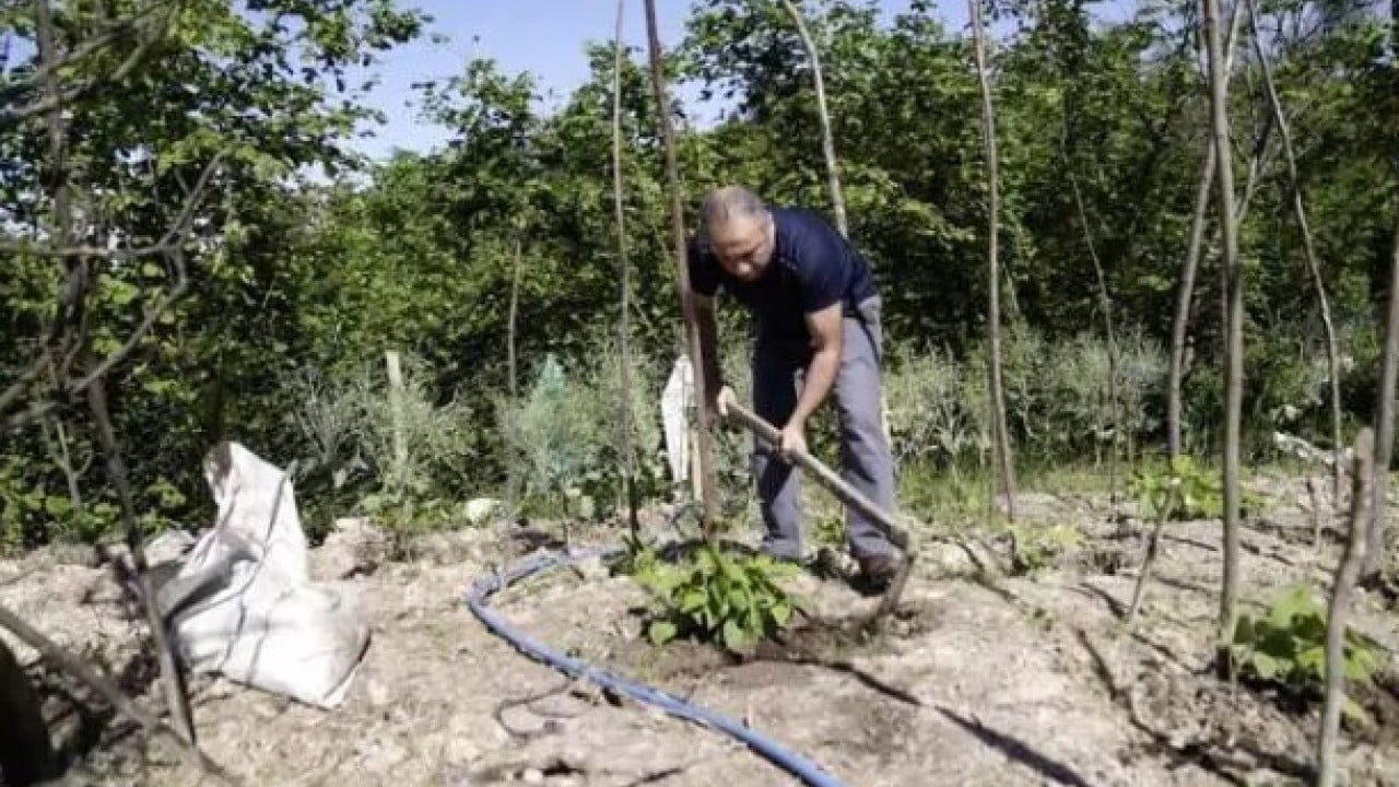 Foto - Balkonda kendi üretti! 150 bin kişiye ücretsiz gönderdi!