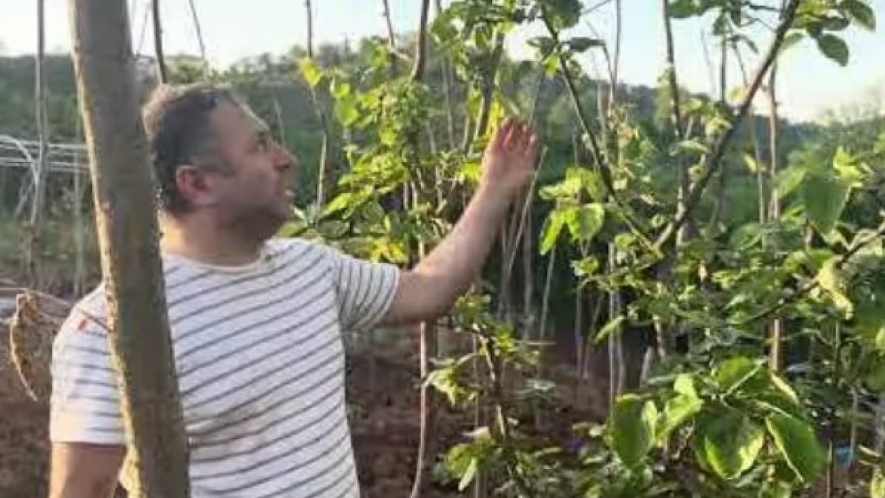 Foto - Balkonda kendi üretti! 150 bin kişiye ücretsiz gönderdi!