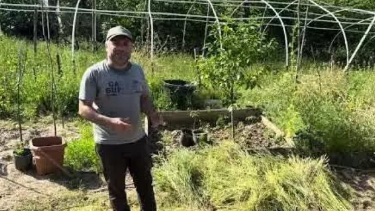 Foto - Balkonda kendi üretti! 150 bin kişiye ücretsiz gönderdi!