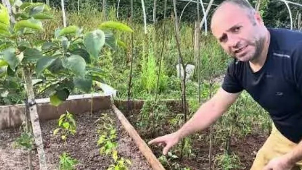 Foto - Balkonda kendi üretti! 150 bin kişiye ücretsiz gönderdi!