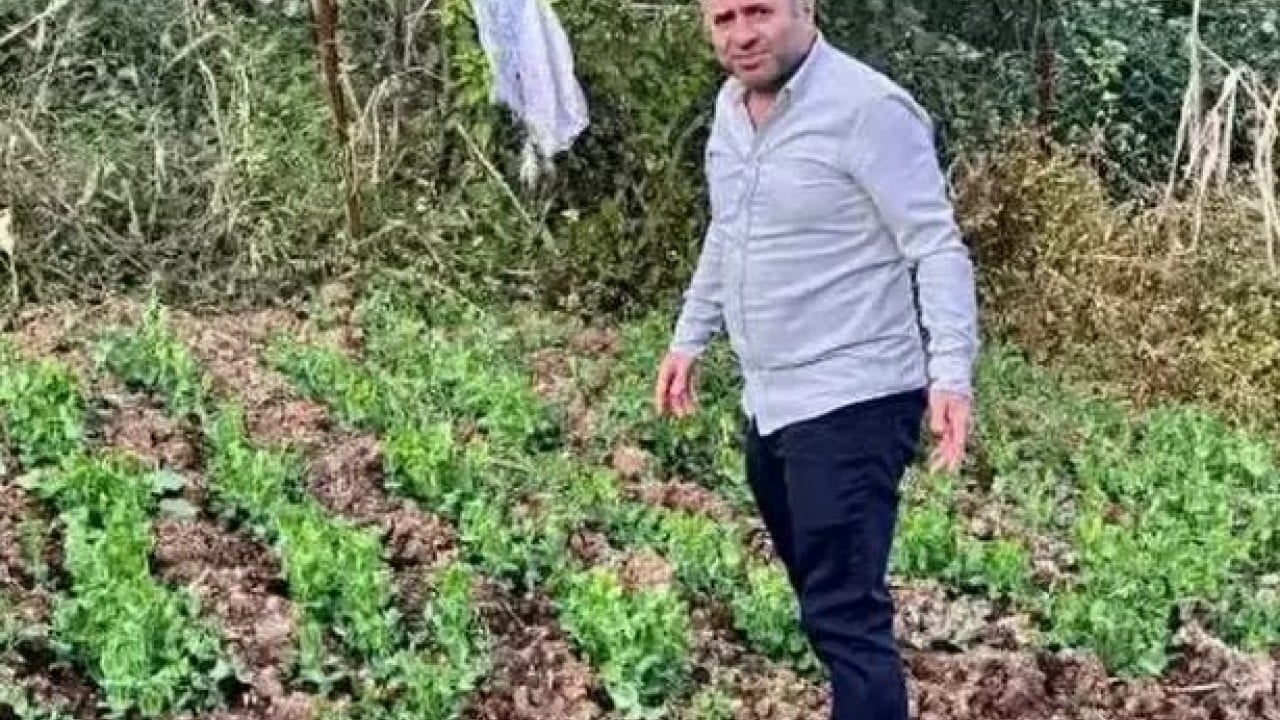 Foto - Balkonda kendi üretti! 150 bin kişiye ücretsiz gönderdi!