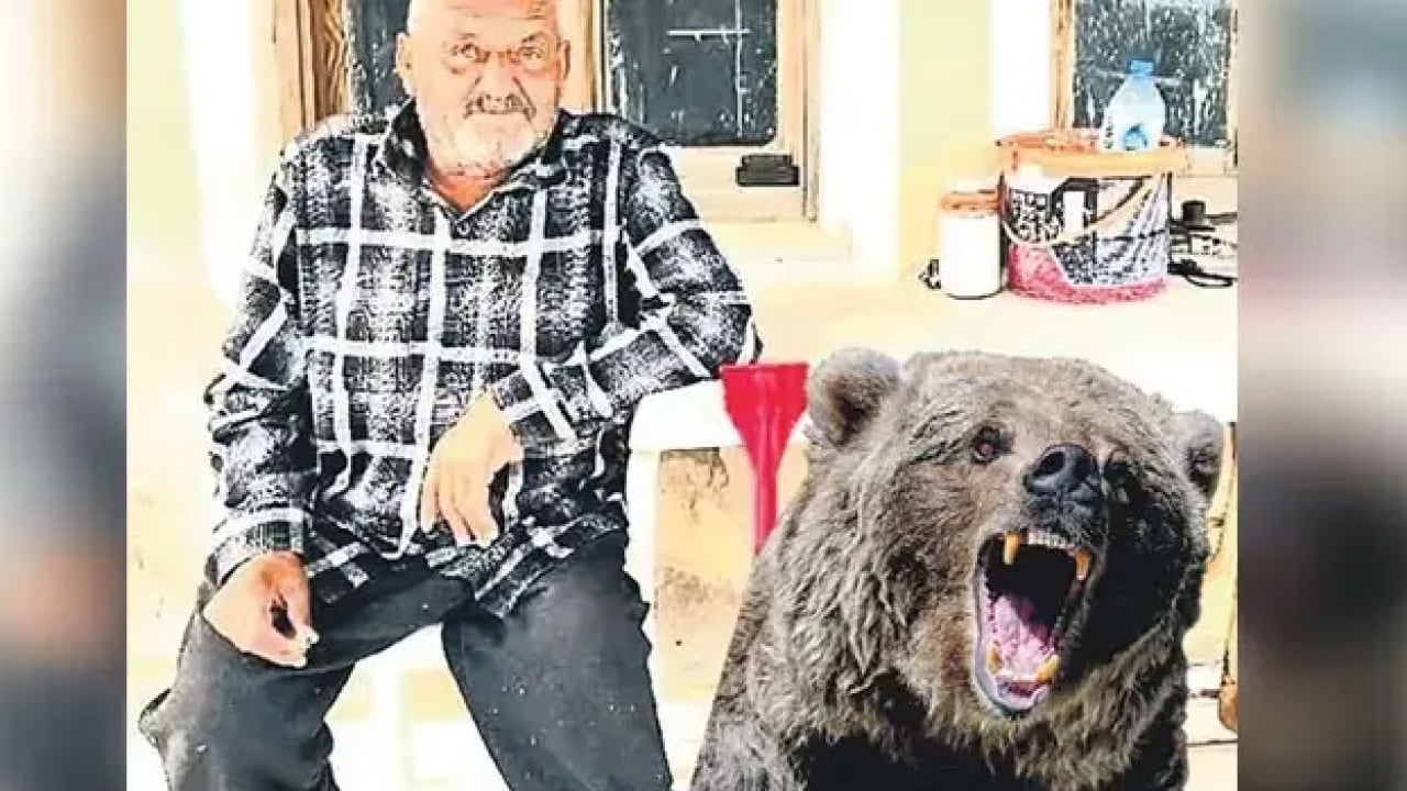Foto - Balkonunda uyuyan adama saldırmıştı: Yaşlı adamı katleden ayı öldürüldü