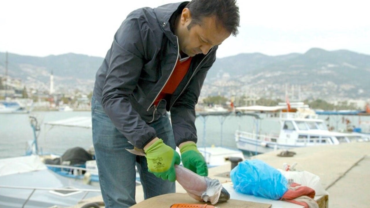 Balon balığı fikri mahkemeye taşındı! Akademik diye aldılar, ticarete çevirdiler