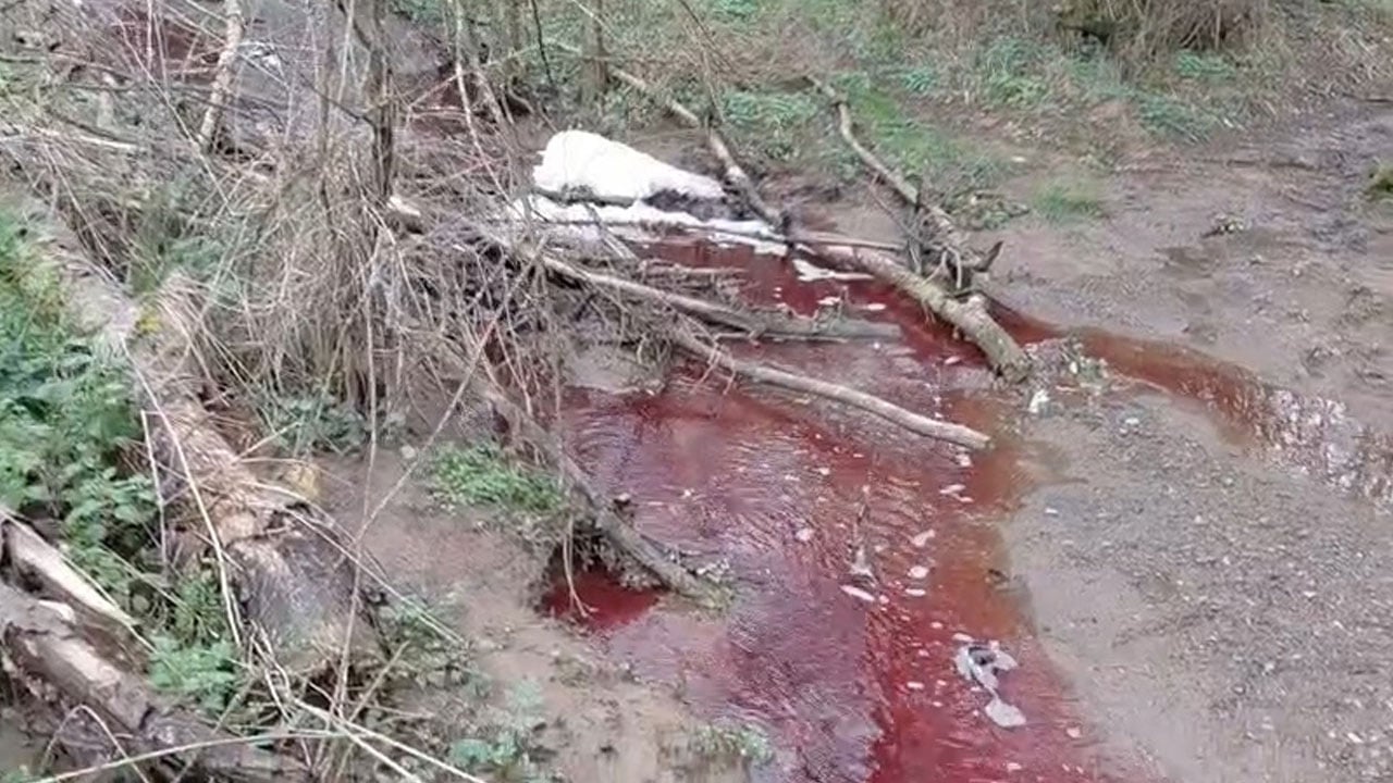 Foto - Baraja kırmızı su akıyor! İstanbul’da tedirgin eden görüntü