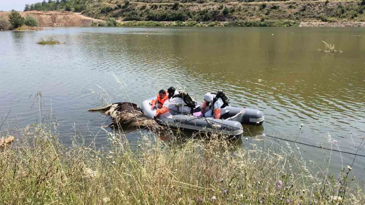 Foto - Barajda leş paniği! Hastalık şüphesi alarma geçirdi