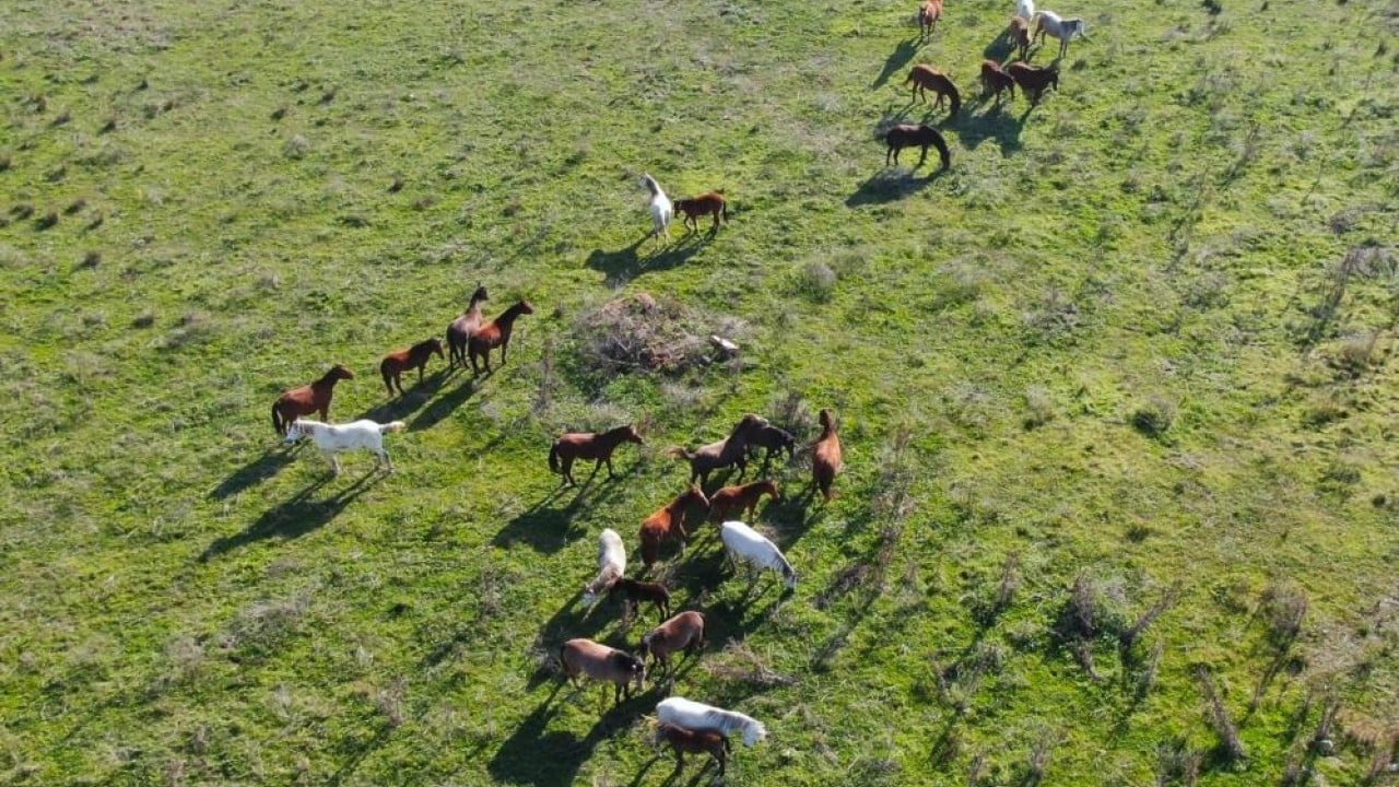 Foto - Barajlar boşaldı, kesintiler her gün uygulanacak Çöpü çok suyu yok
