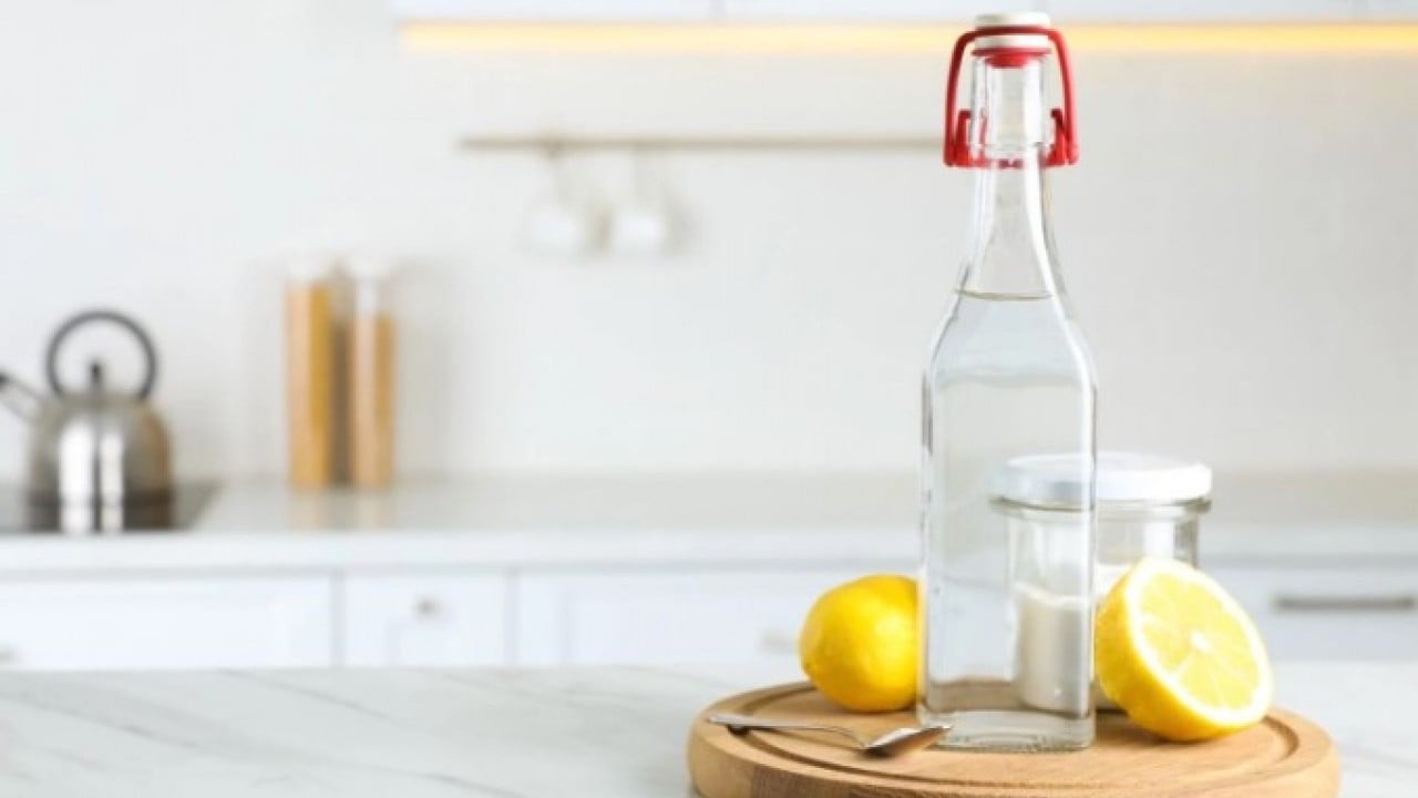 Foto - Baş belası olan sorunu kolayca çözün! Evdeki böcekleri anında kovan yöntem