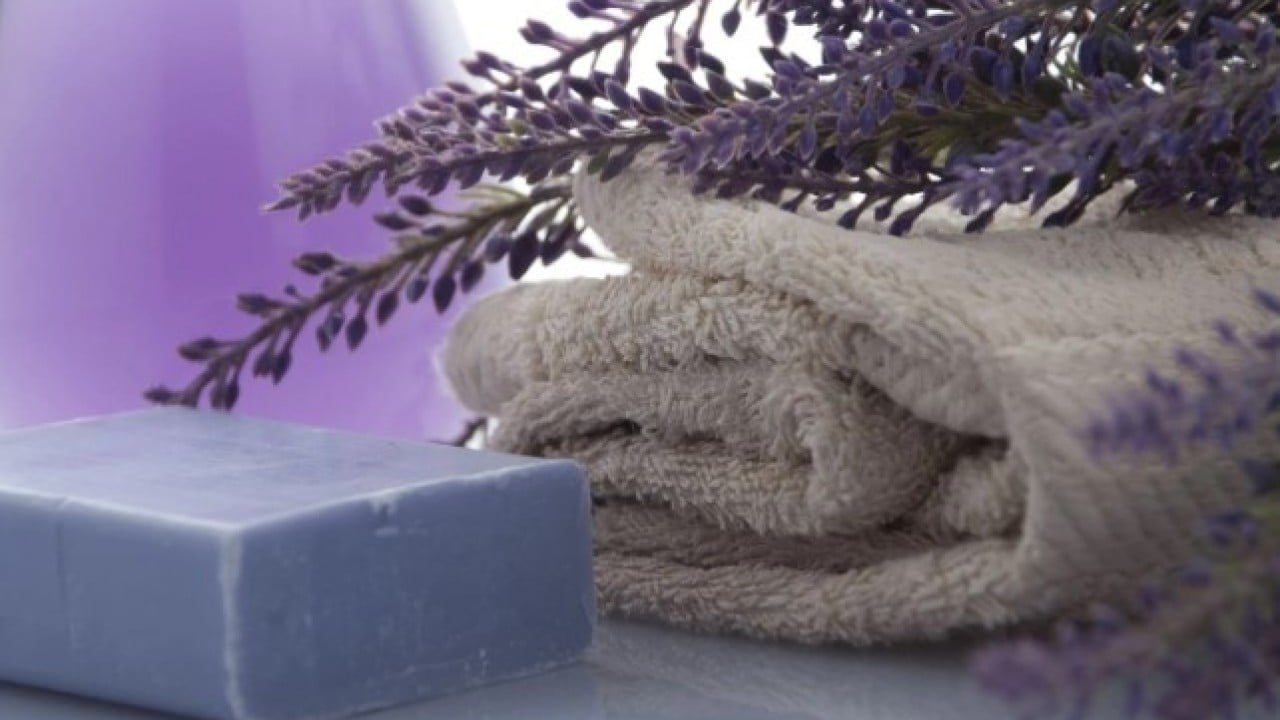 Foto - Baş belası olan sorunu kolayca çözün! Evdeki böcekleri anında kovan yöntem