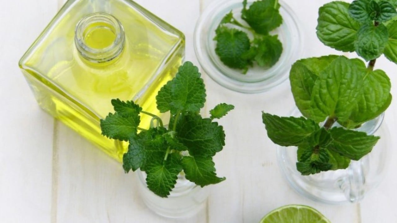 Foto - Baş belası olan sorunu kolayca çözün! Evdeki böcekleri anında kovan yöntem