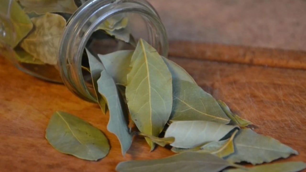 Foto - Baş belası olan sorunu kolayca çözün! Evdeki böcekleri anında kovan yöntem