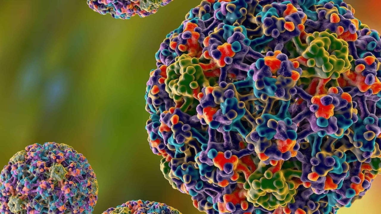 Foto - Baş-boyun kanserlerinde en büyük tehlike korkuttu! Doktor yanıt verdi: 100'den fazla HPV virüsü var