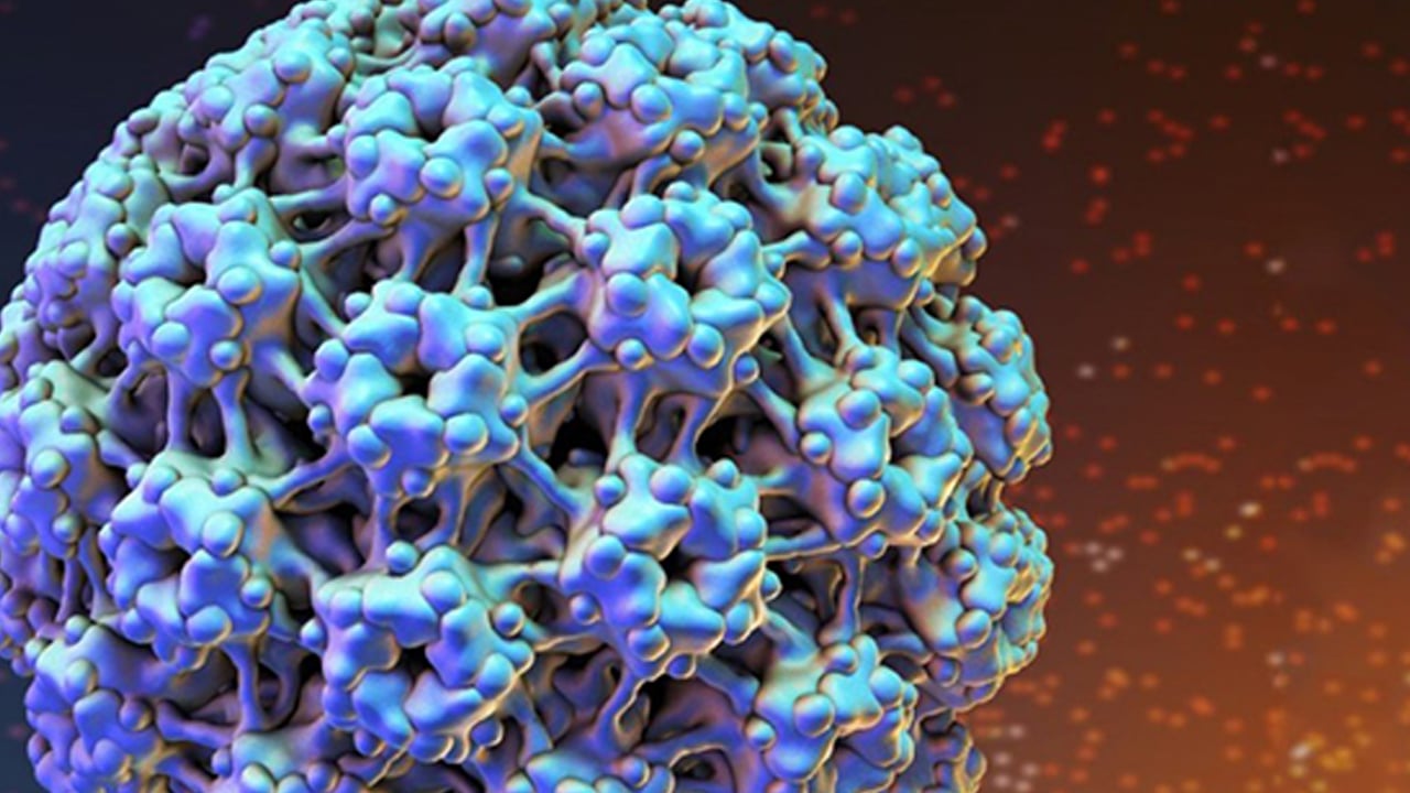 Baş-boyun kanserlerinde en büyük tehlike korkuttu! Doktor yanıt verdi: 100'den fazla HPV virüsü var