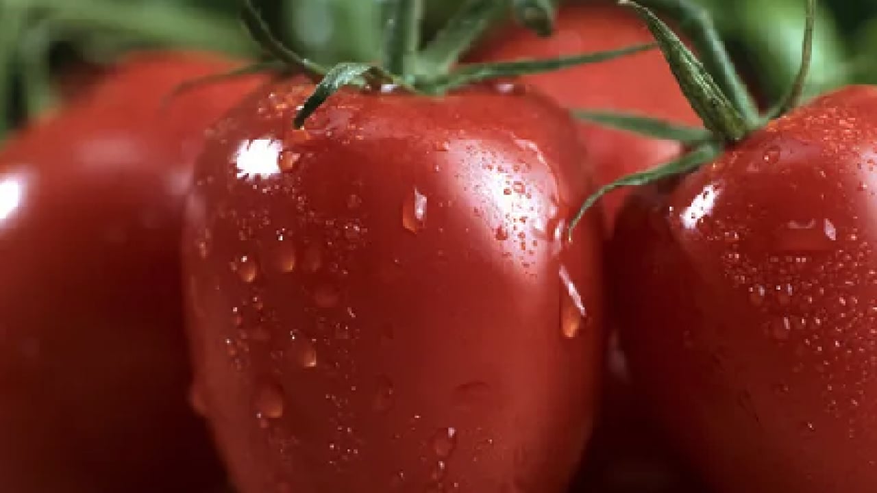 Foto - Basit bir yöntem ile: Haftalarca taze ve sulu kalan domateslerin sırrı açıklandı!