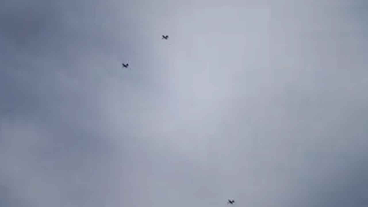 Foto - Baykar yeni silahını dünyaya ilan etti: SİVRİSİNEK