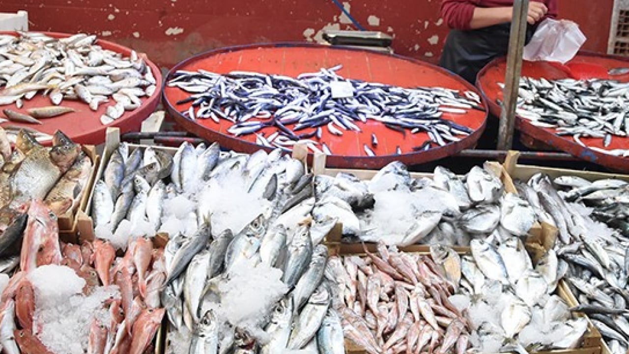 Foto - Bayram öncesi balık tezgahlarında büyük hareketlilik! Ramazan Balığı: Somon ve İstavrit... 