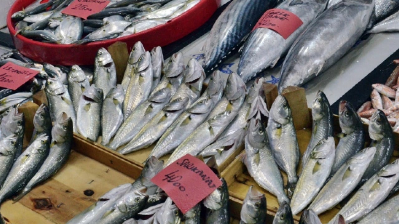 Foto - Bayram öncesi balık tezgahlarında büyük hareketlilik! Ramazan Balığı: Somon ve İstavrit... 