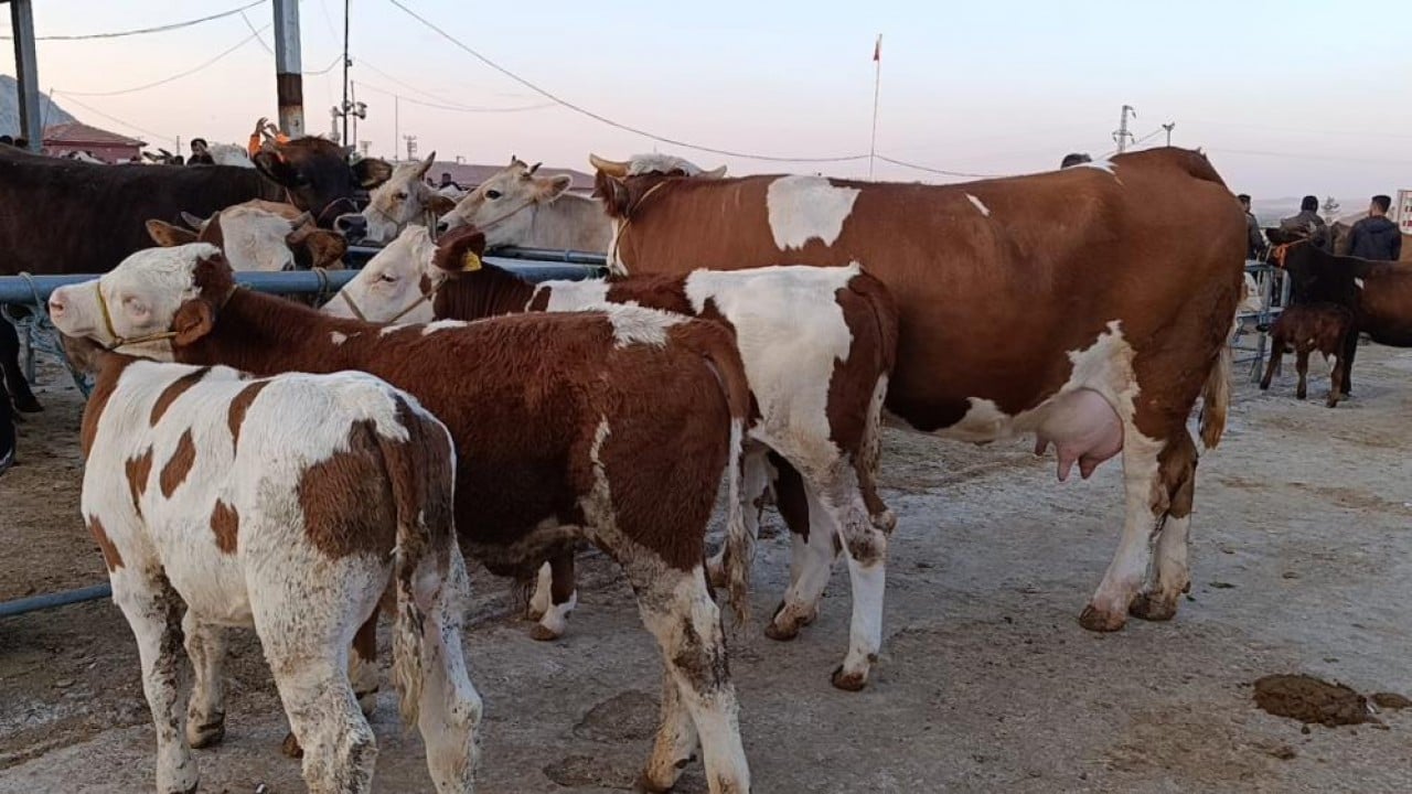 Foto - Bayram sonrası sakinlik Fiyatlar düştü almanın tam zamanı