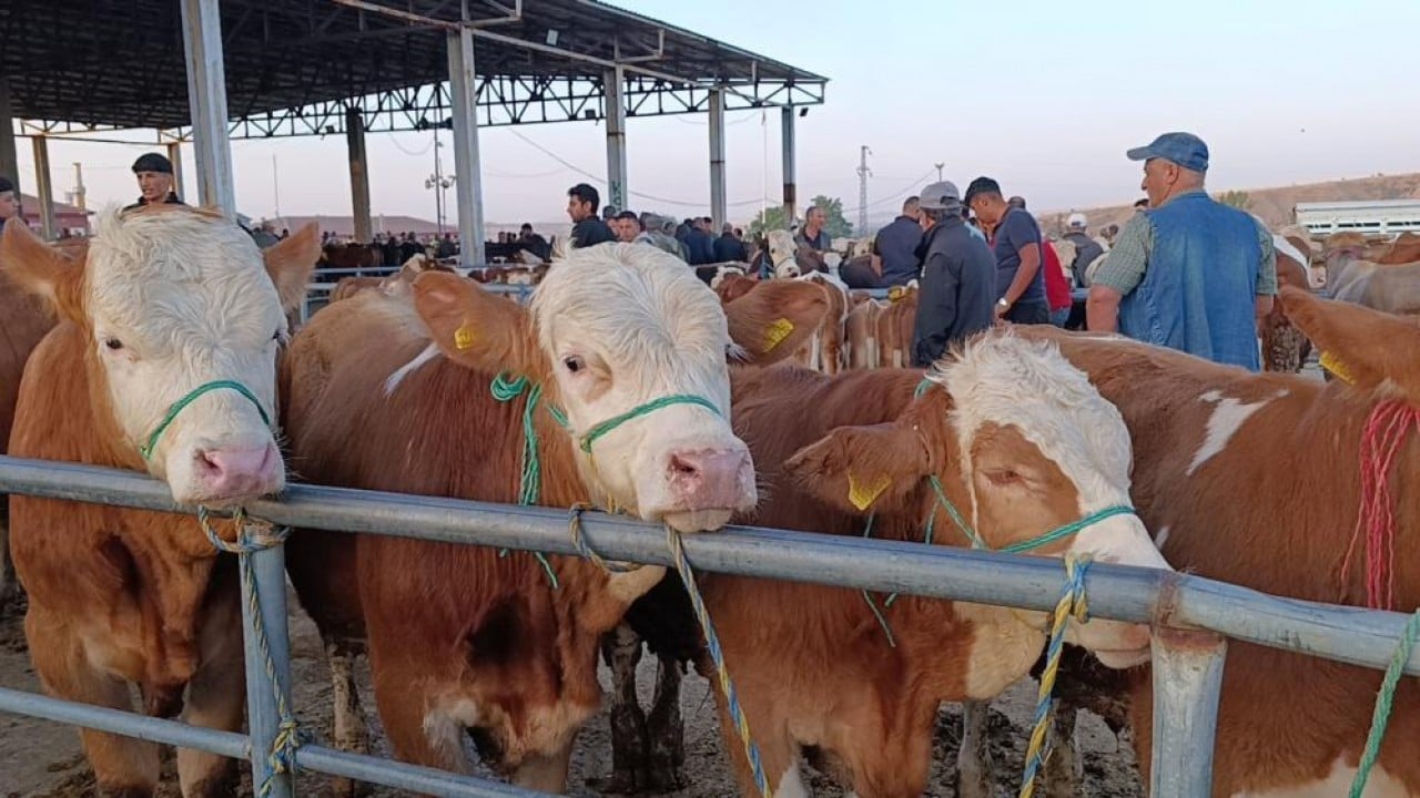 Foto - Bayram sonrası sakinlik Fiyatlar düştü almanın tam zamanı